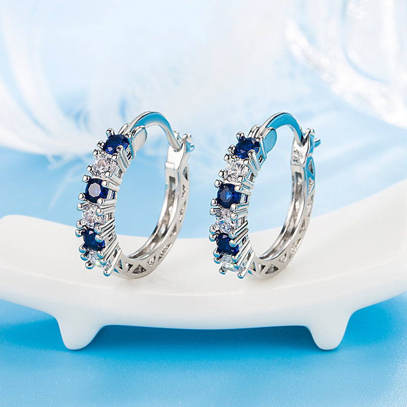Studded Zircon Earrings